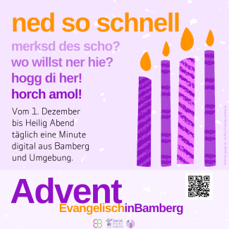 ned so schnell